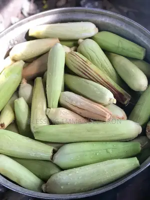 Fresh Green Vegetables At Affordable Prices