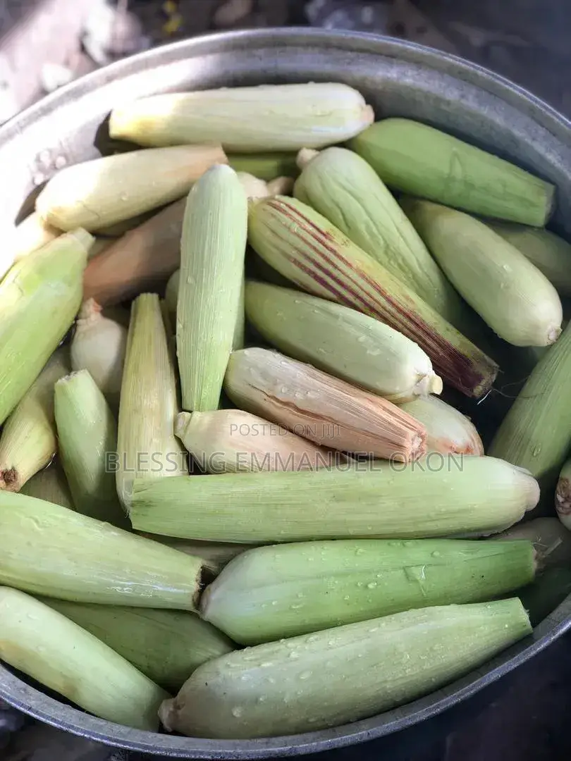 Fresh Green Vegetables At Affordable Prices