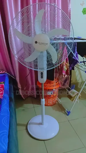 Standing Fan