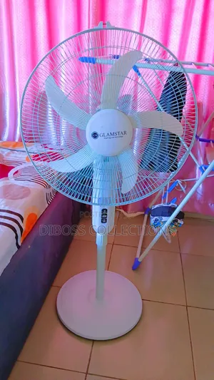 Standing Fan