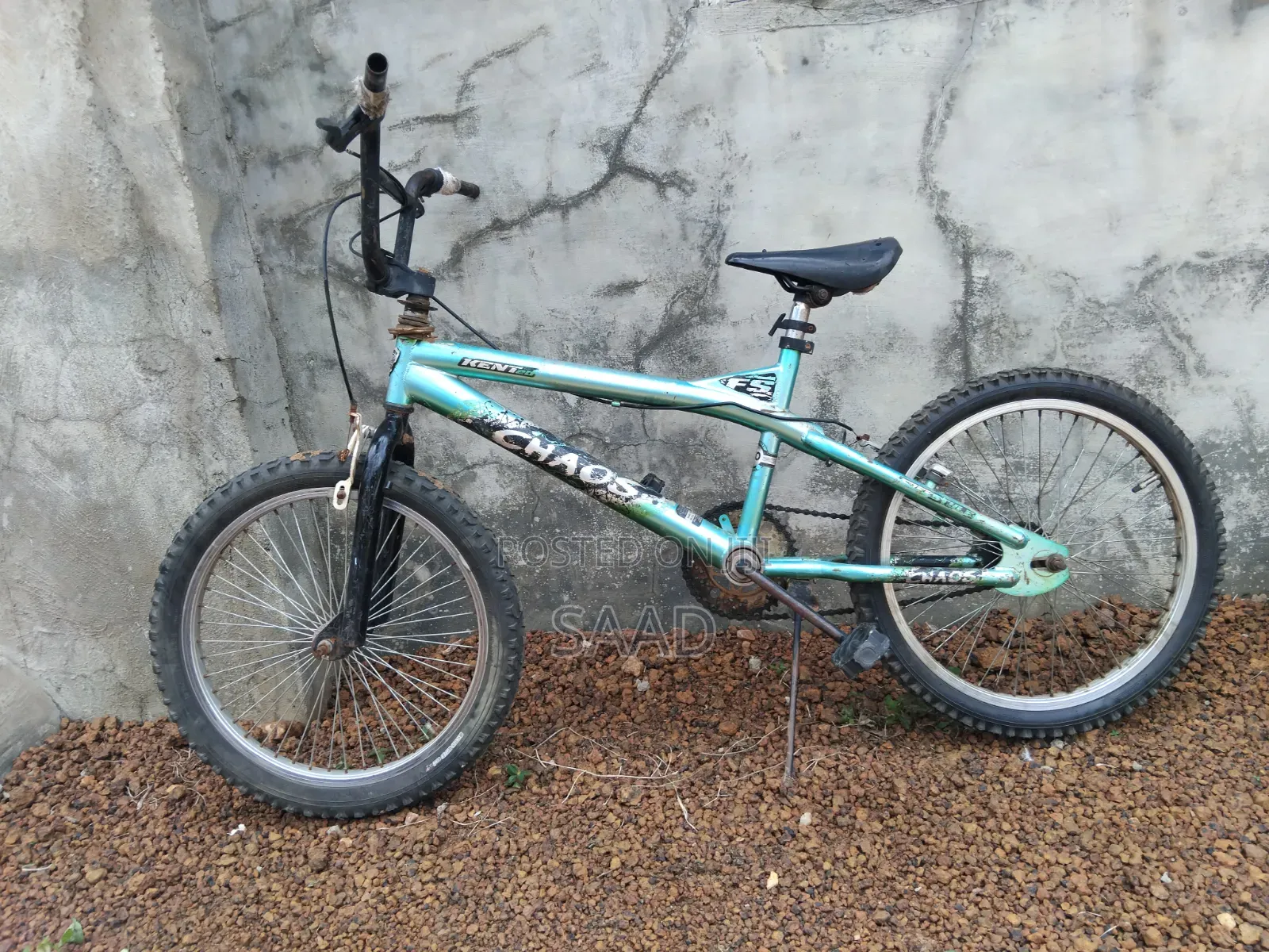Bicycle for Adults