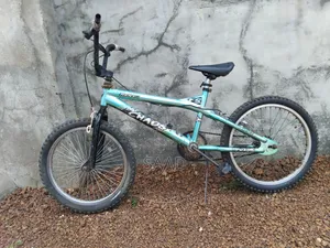 Bicycle for Adults