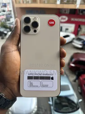 Apple iPhone 12 Pro Max 128 GB Silver