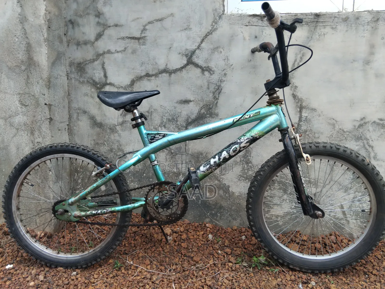 Bicycle for Adults