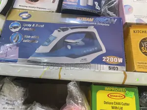 Steam Iron