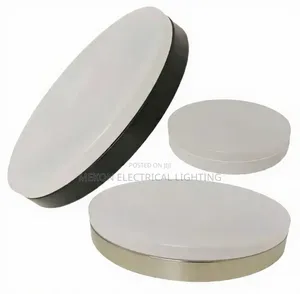 Led Ceiling Light