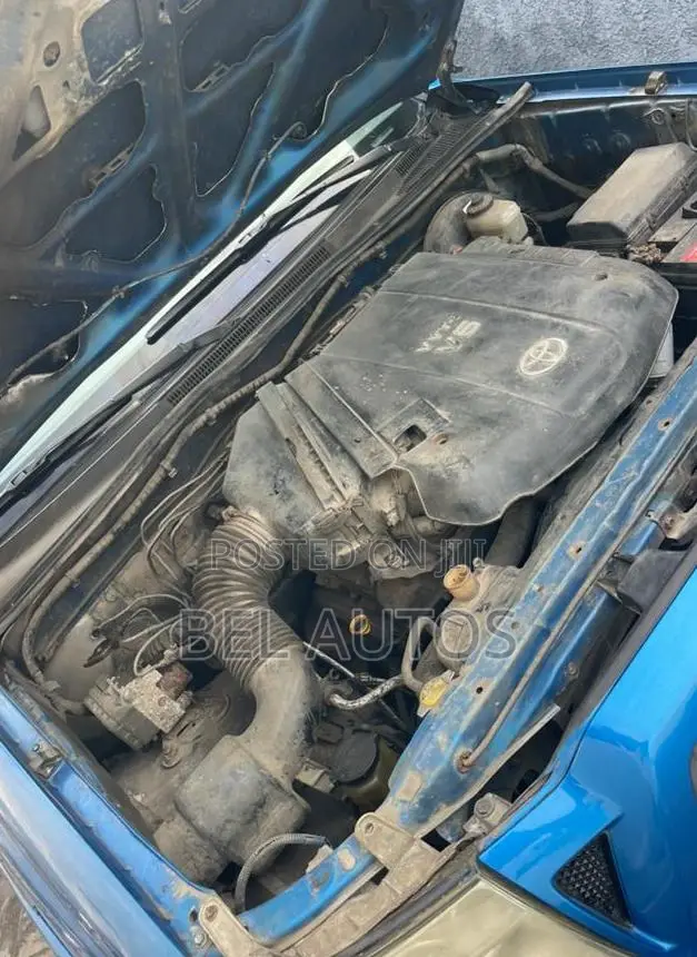 Toyota Tacoma 2010 Blue