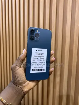 Apple iPhone 12 Pro Max 128 GB Gray