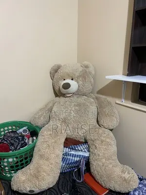 Teddy Bear