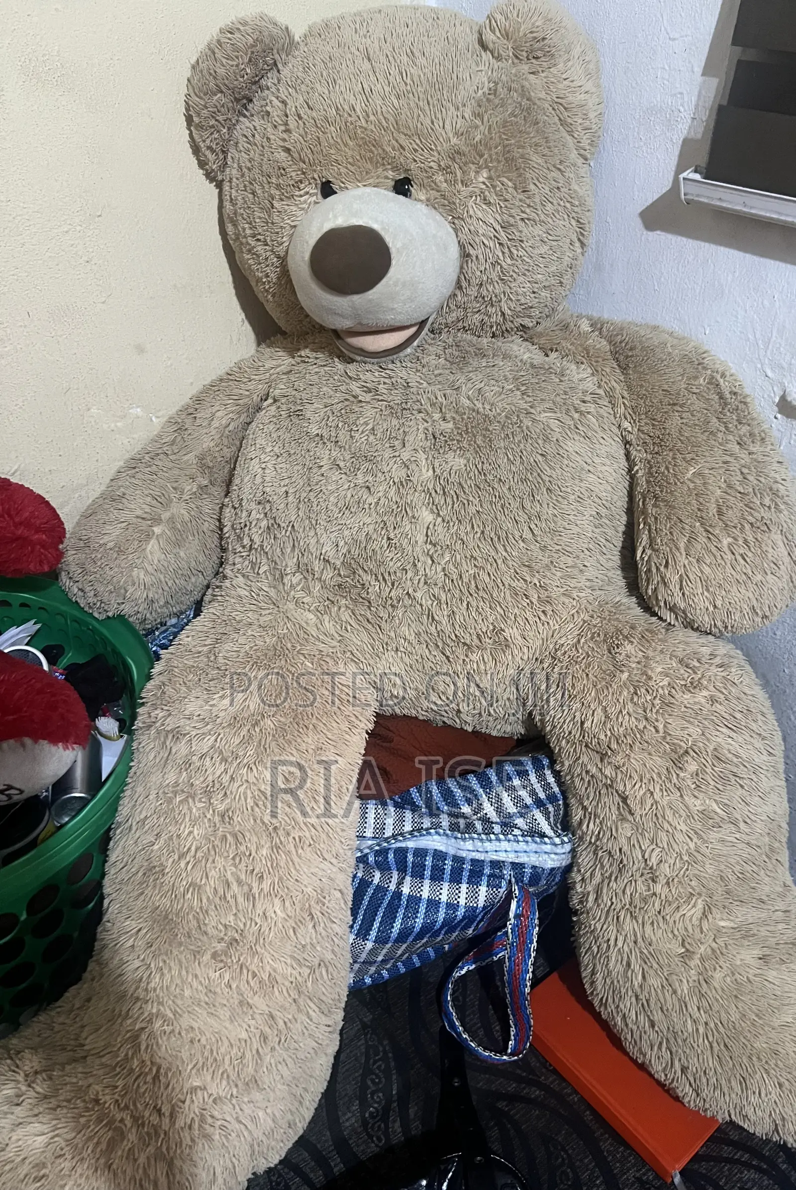 Teddy Bear