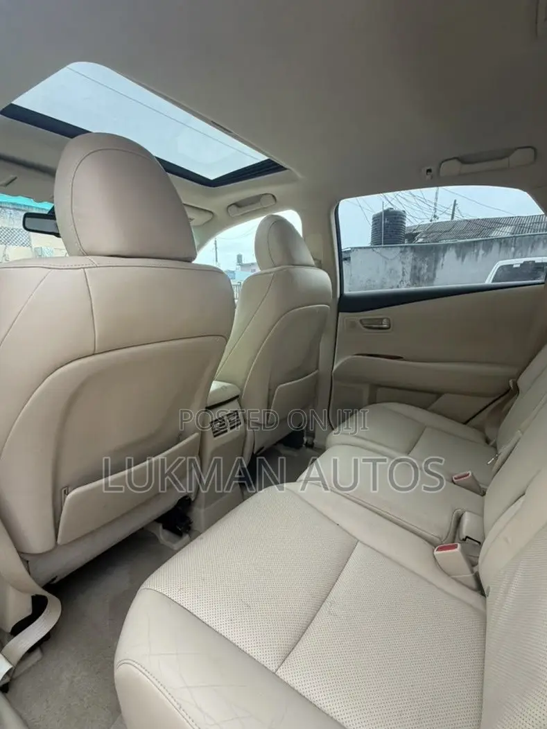 Lexus RX 350 2010 Gray