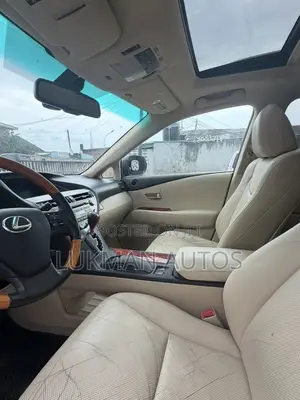 Lexus RX 350 2010 Gray