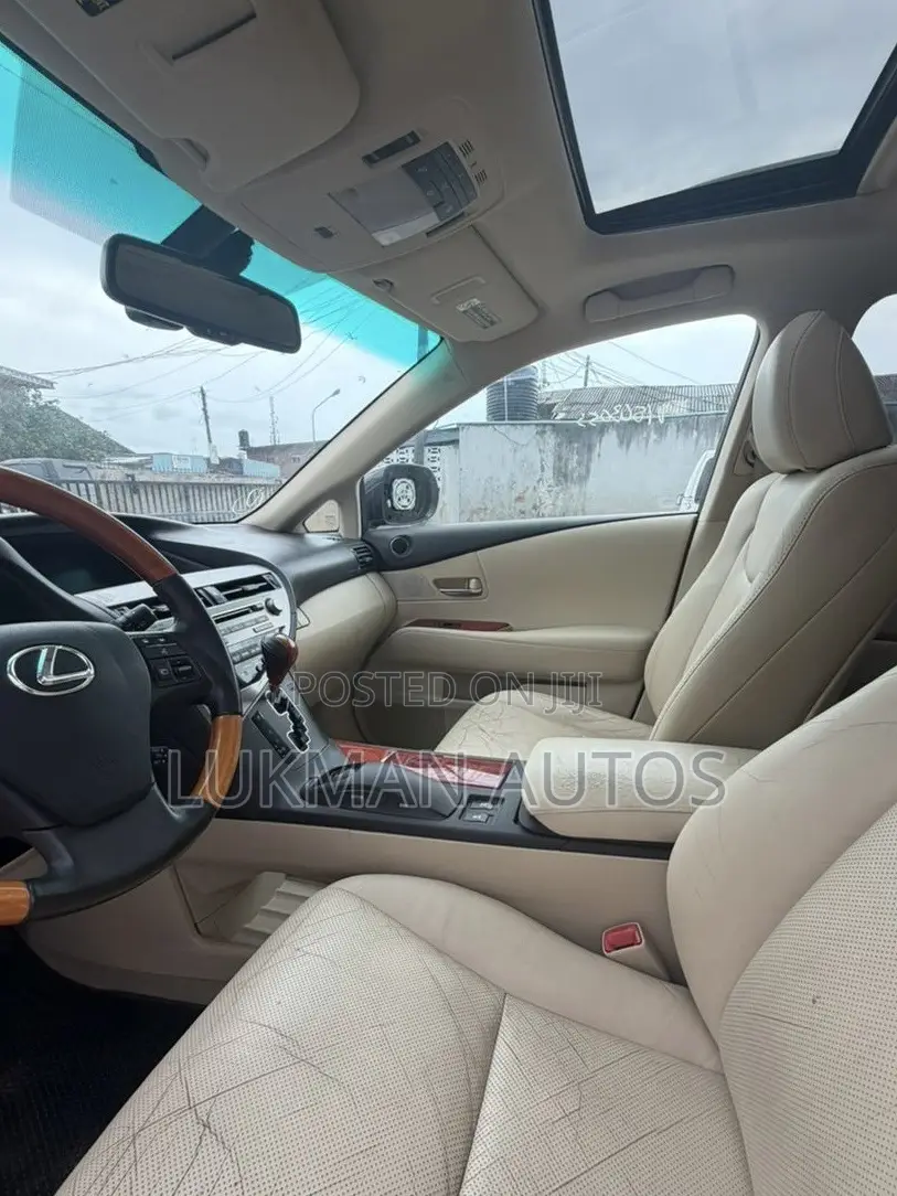Lexus RX 350 2010 Gray