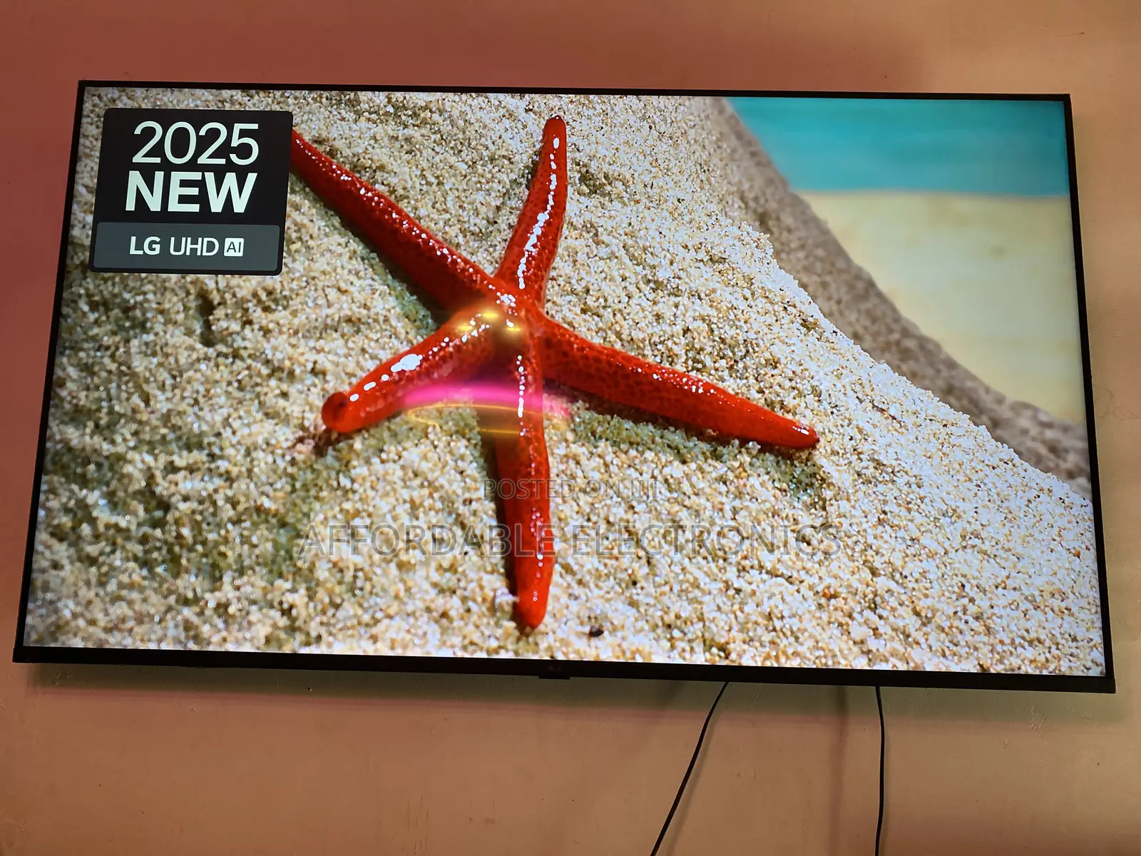 55” L G Uhd Display Smart TV