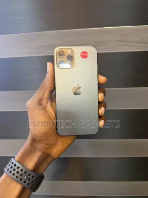 Apple iPhone 12 Pro 256 GB Gray