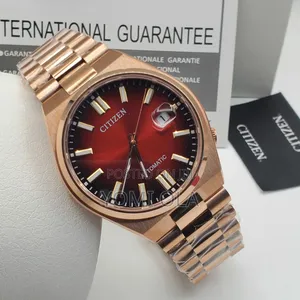 Citizen Mechanical Movement Watch