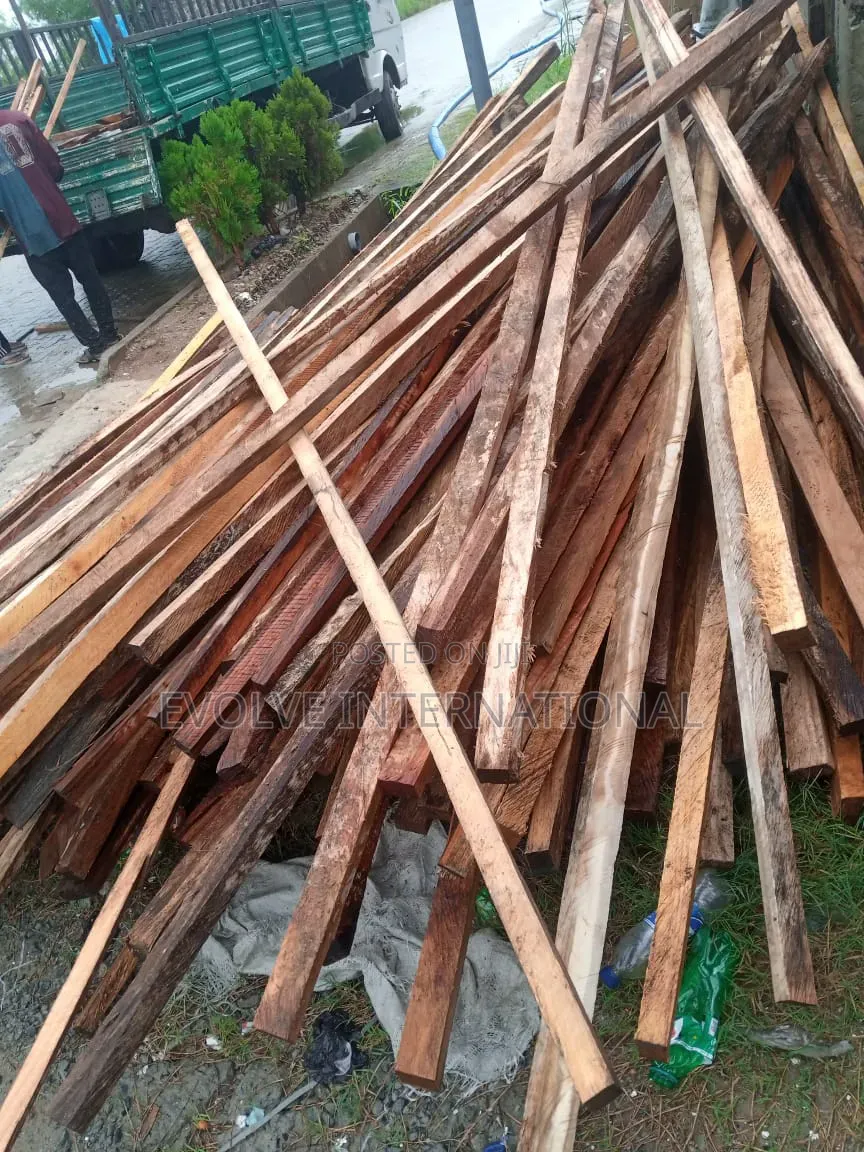 Palatable Strong Roofing Woods