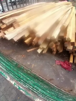 Palatable Strong Roofing Woods