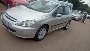 Peugeot 307 2008 Silver