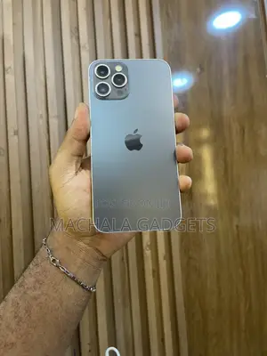 Apple iPhone 12 Pro Max 256 GB Black