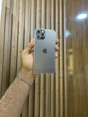 Apple iPhone 12 Pro Max 256 GB Black