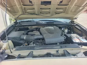Toyota Tacoma 2020 Brown