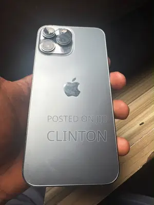 Apple iPhone 13 Pro Max 128 GB Gray