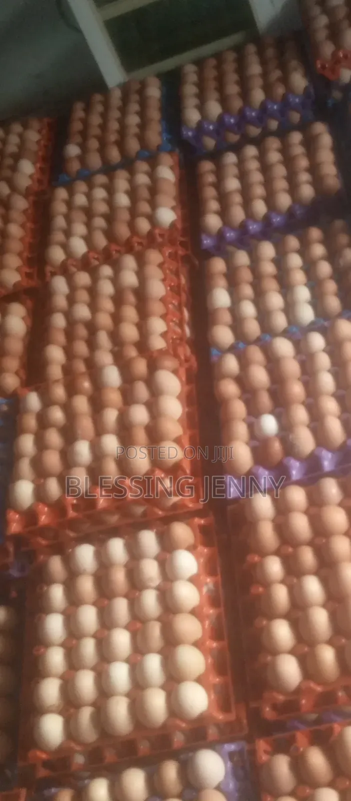 Crates of Eggs Available 4500