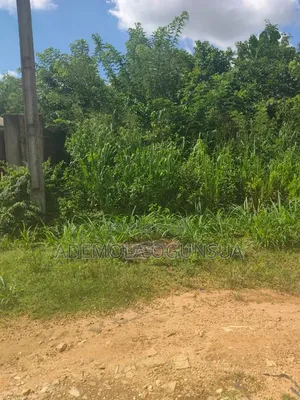 2 Plots of Land