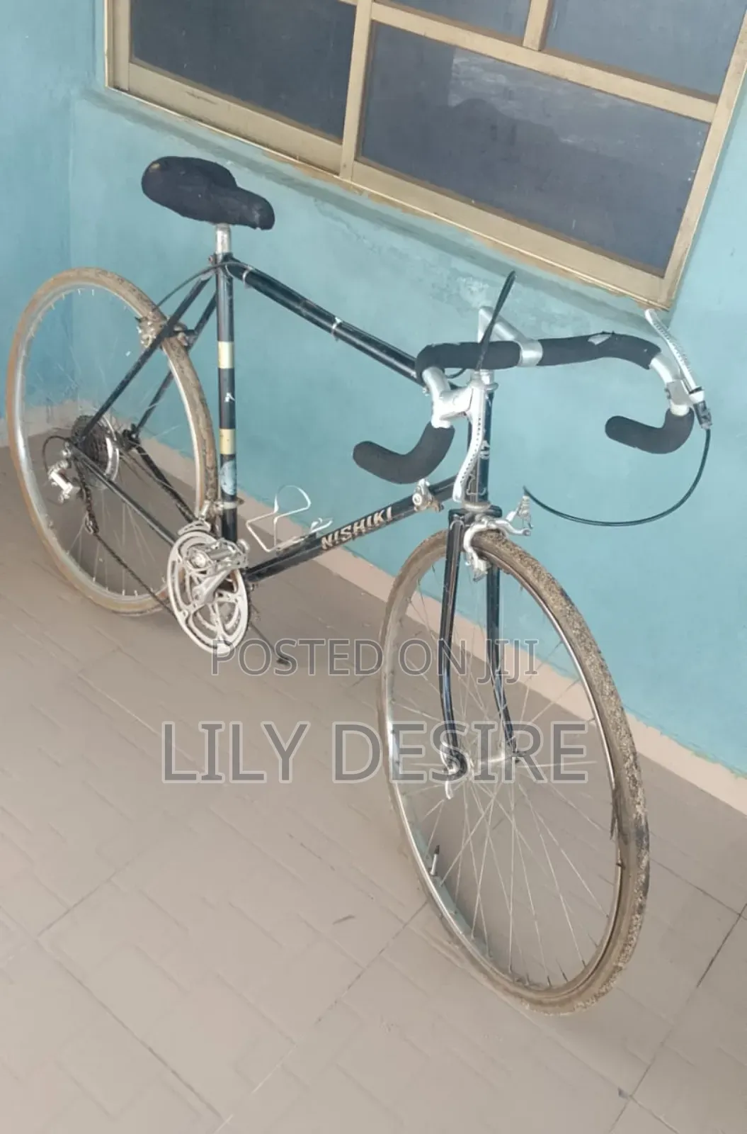 Adult Bicycle