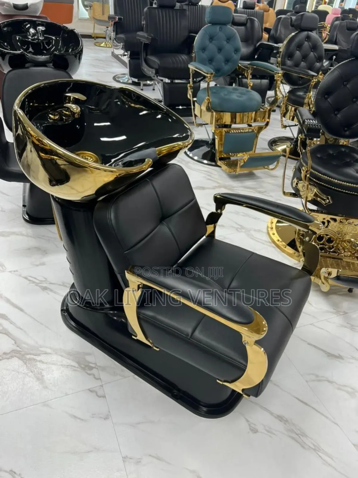 Salon Chair