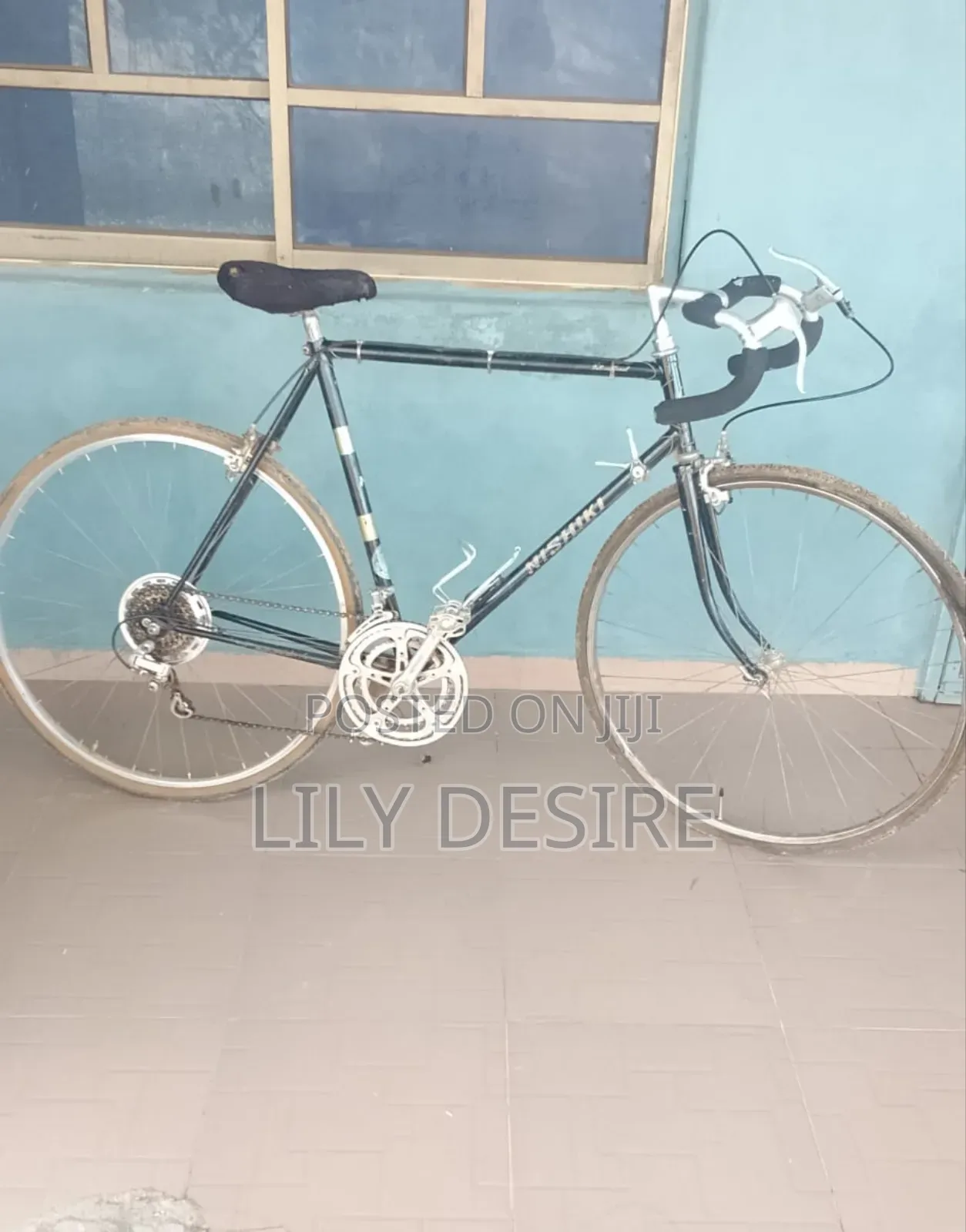 Adult Bicycle