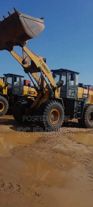 Fairly Used Payloader