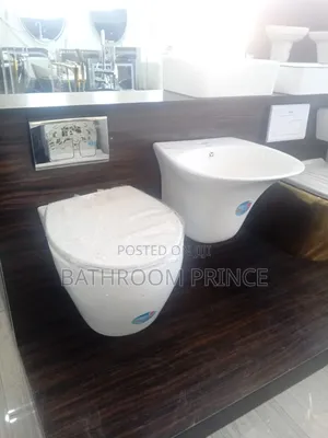 Round Shape Conceal Water Closet