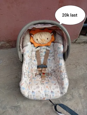Complete Infant Car Seat