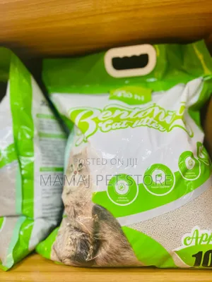 Cat Litter Sand