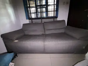Large Gray Colored 2-Seater Sofa