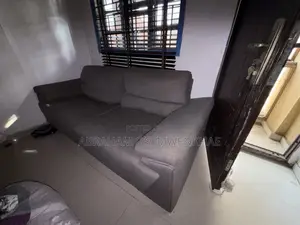 Large Gray Colored 2-Seater Sofa
