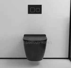 Black Concealed Water Closet