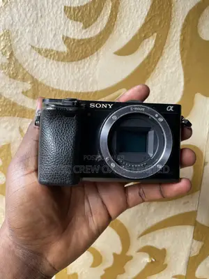 Sony A6000 Mirrorless Digital Camera (Body)