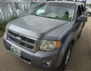 Ford Escape Hybrid 2007 Brown