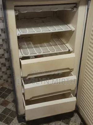 Standing Freezers