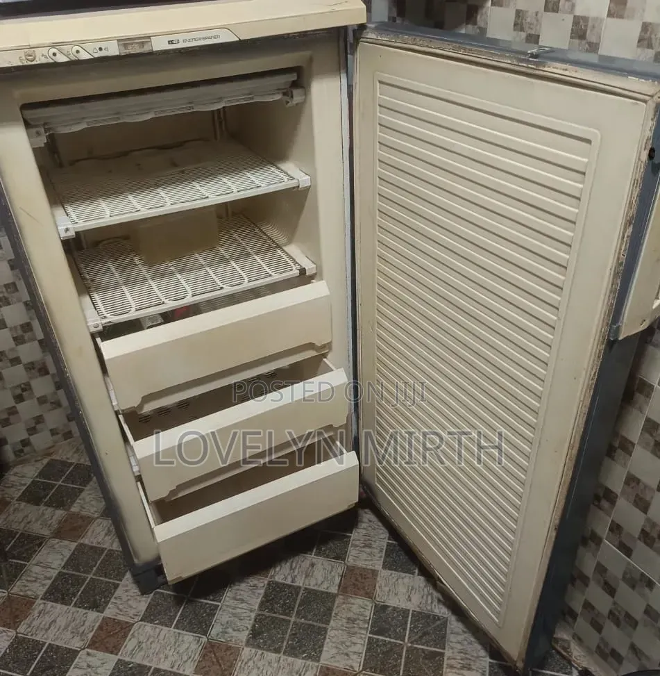 Standing Freezers