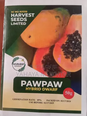 Pawpaw, Hybrid Dwarf