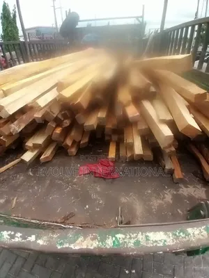 3 by 4 and Other Sizes