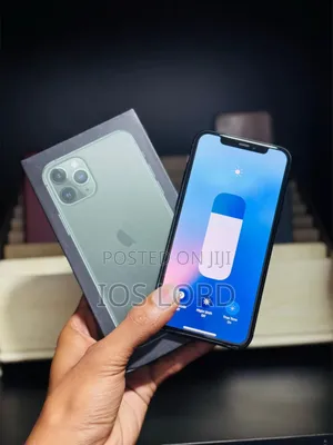 Apple iPhone 11 Pro 256 GB Gray