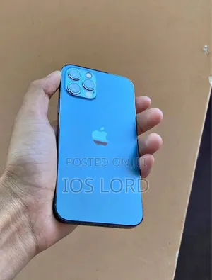 Apple iPhone 11 Pro Max 256 GB Gray