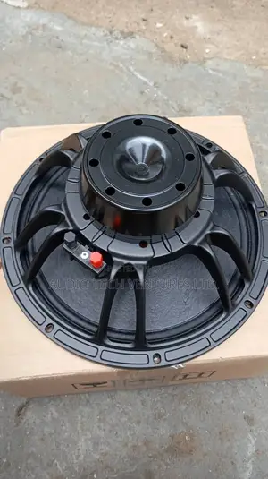 12 Inches Naked Speaker Big Magnet