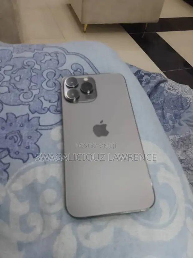 Apple iPhone 13 Pro Max 128 GB Gray - Swagaliciouz Lawrence