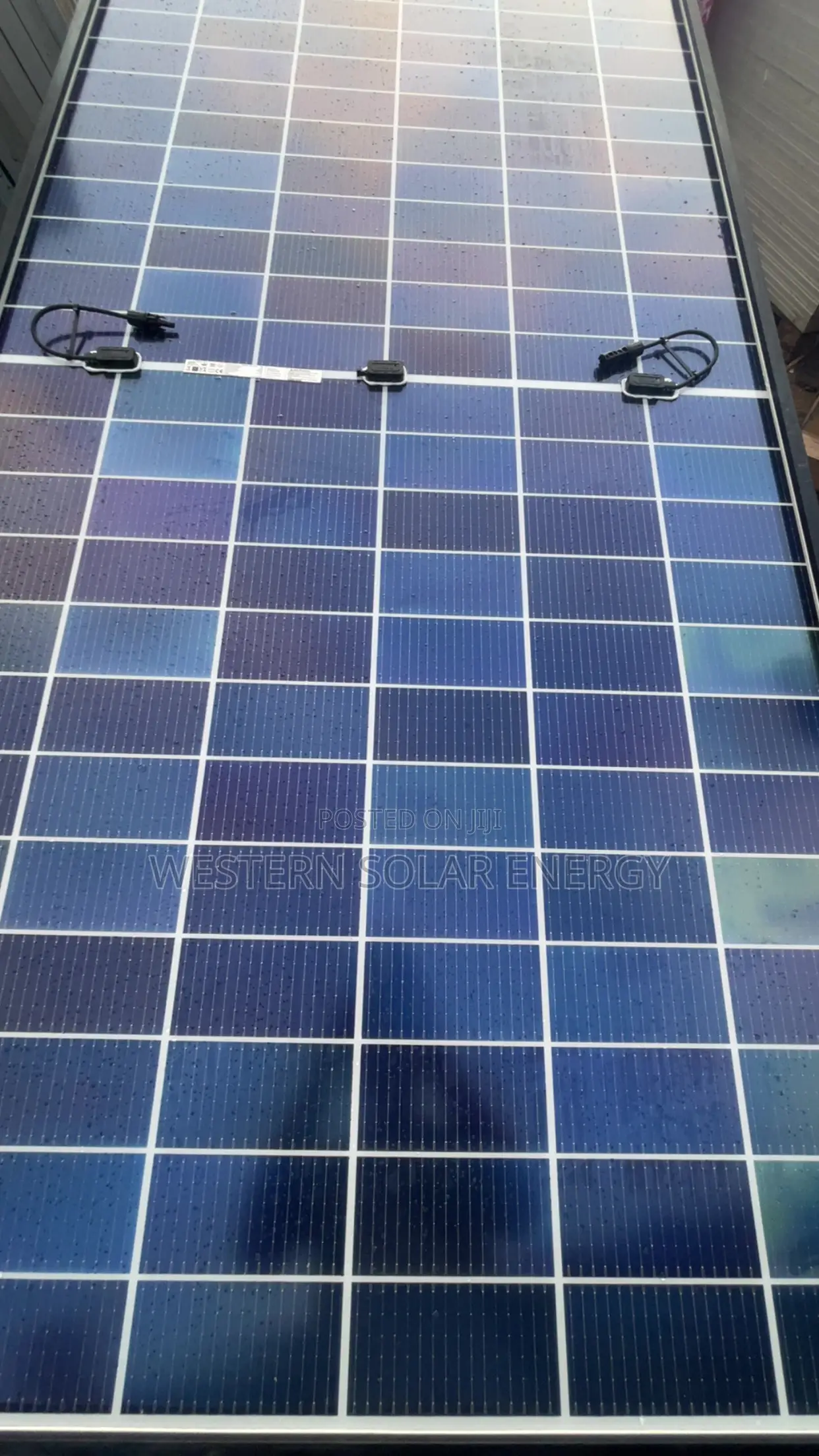 Jinko 650w Bifacial Solar Panel All Black